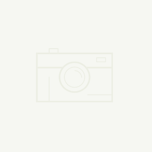 籃球場圍欄網價格是多少